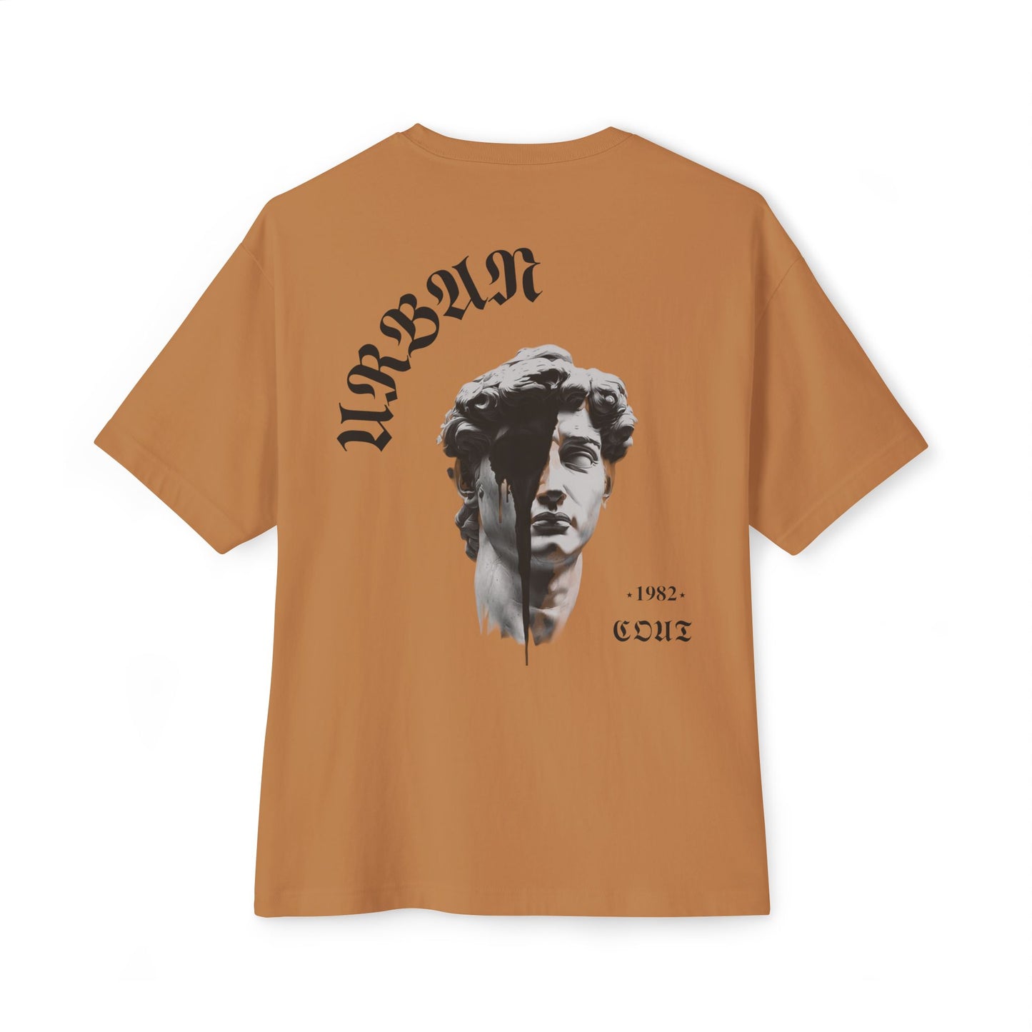 Camiseta Oversized Aesthetic 100% algodón, estampado [diseño único], Unisex